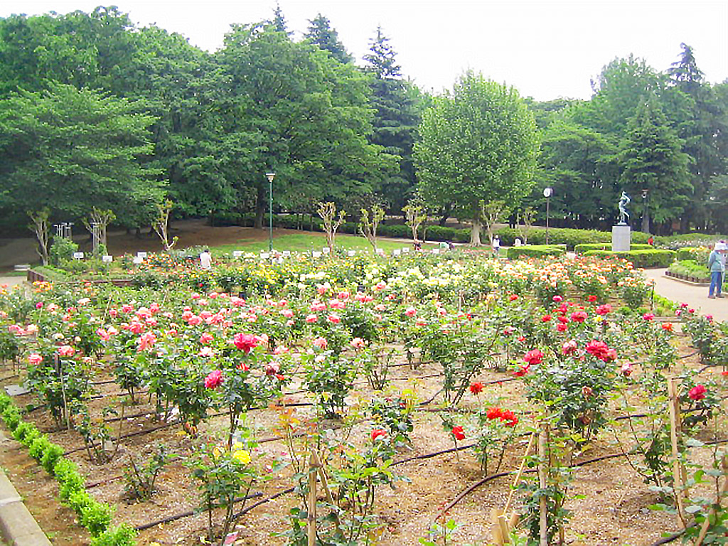 与野公園_画像3