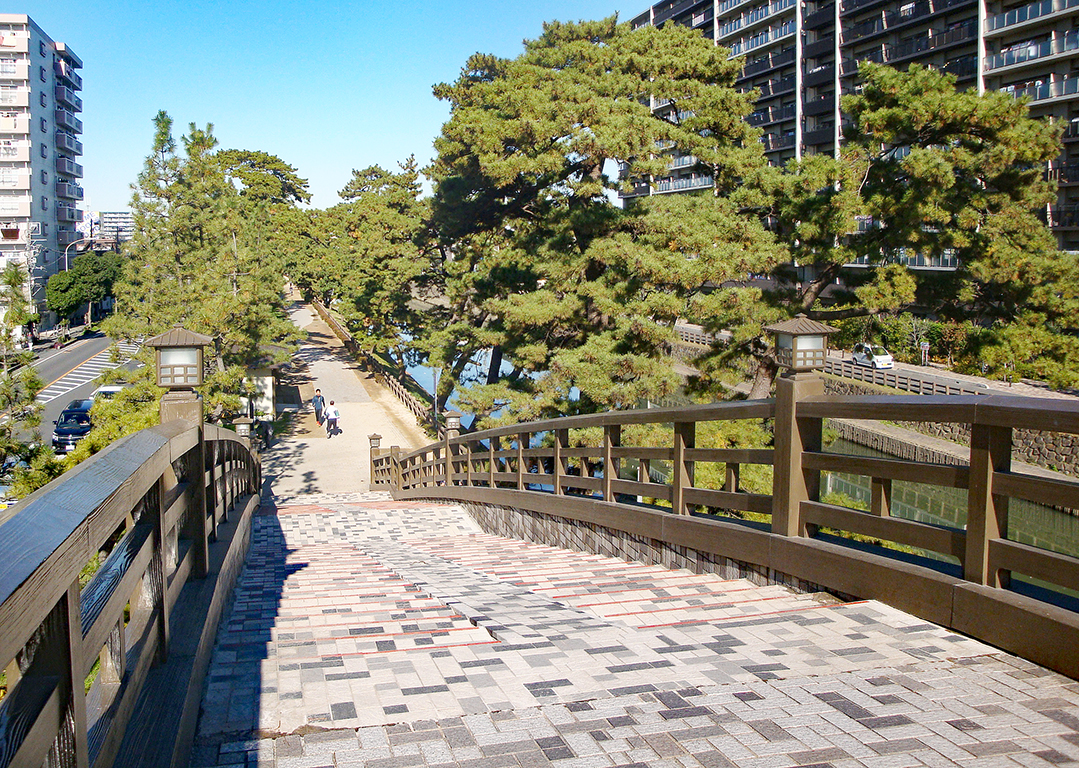 草加松原（遊歩道）_画像2