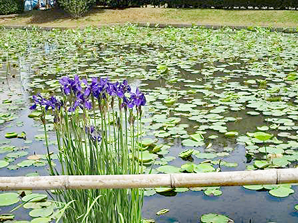 浦和くらしの博物館民家園_画像2