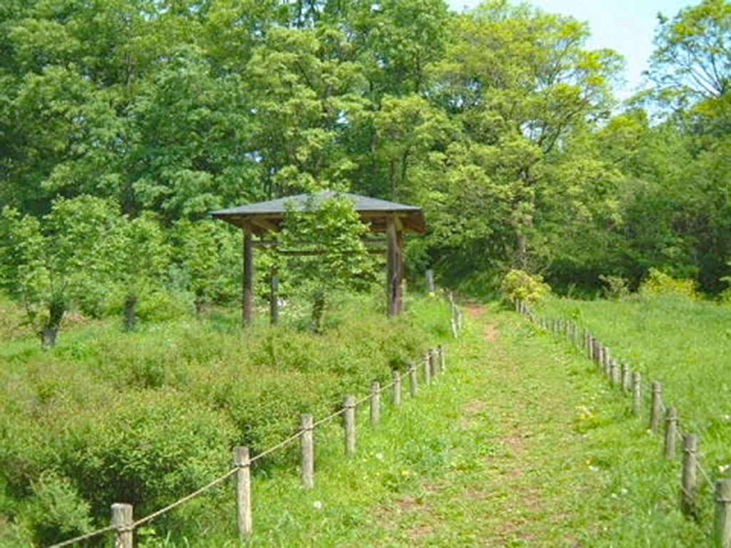 蝶の森公園_画像1