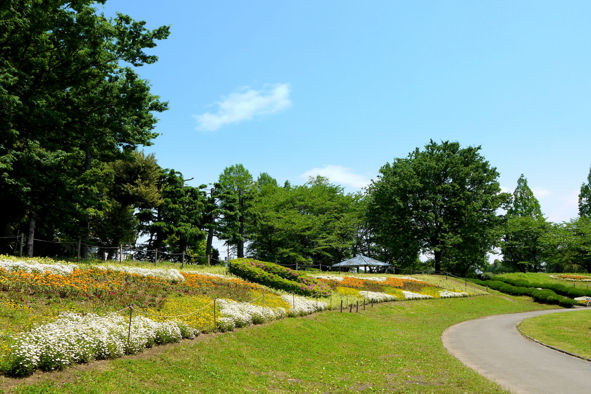 大崎公園