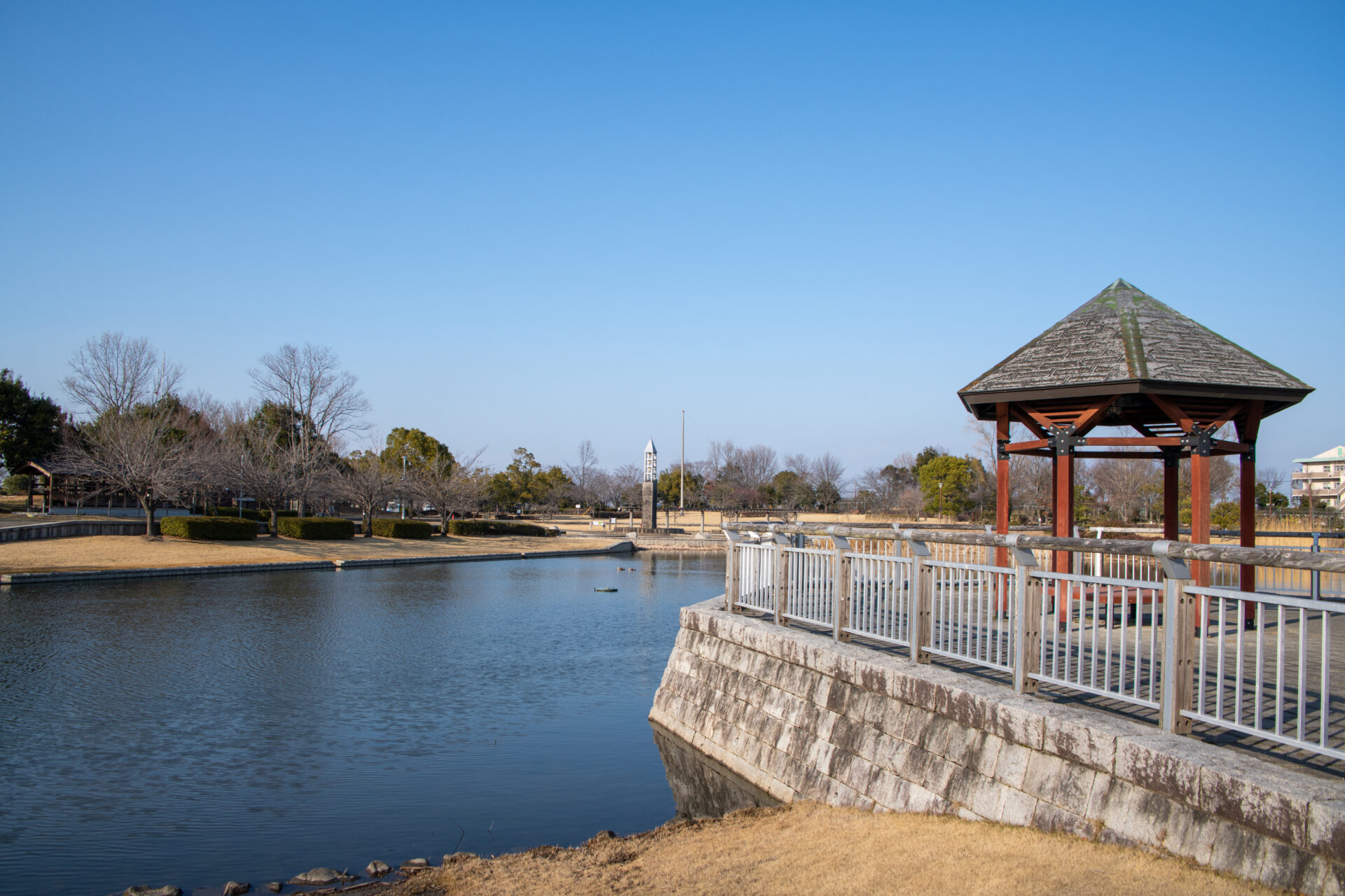 平成の森公園｜go!go!埼玉