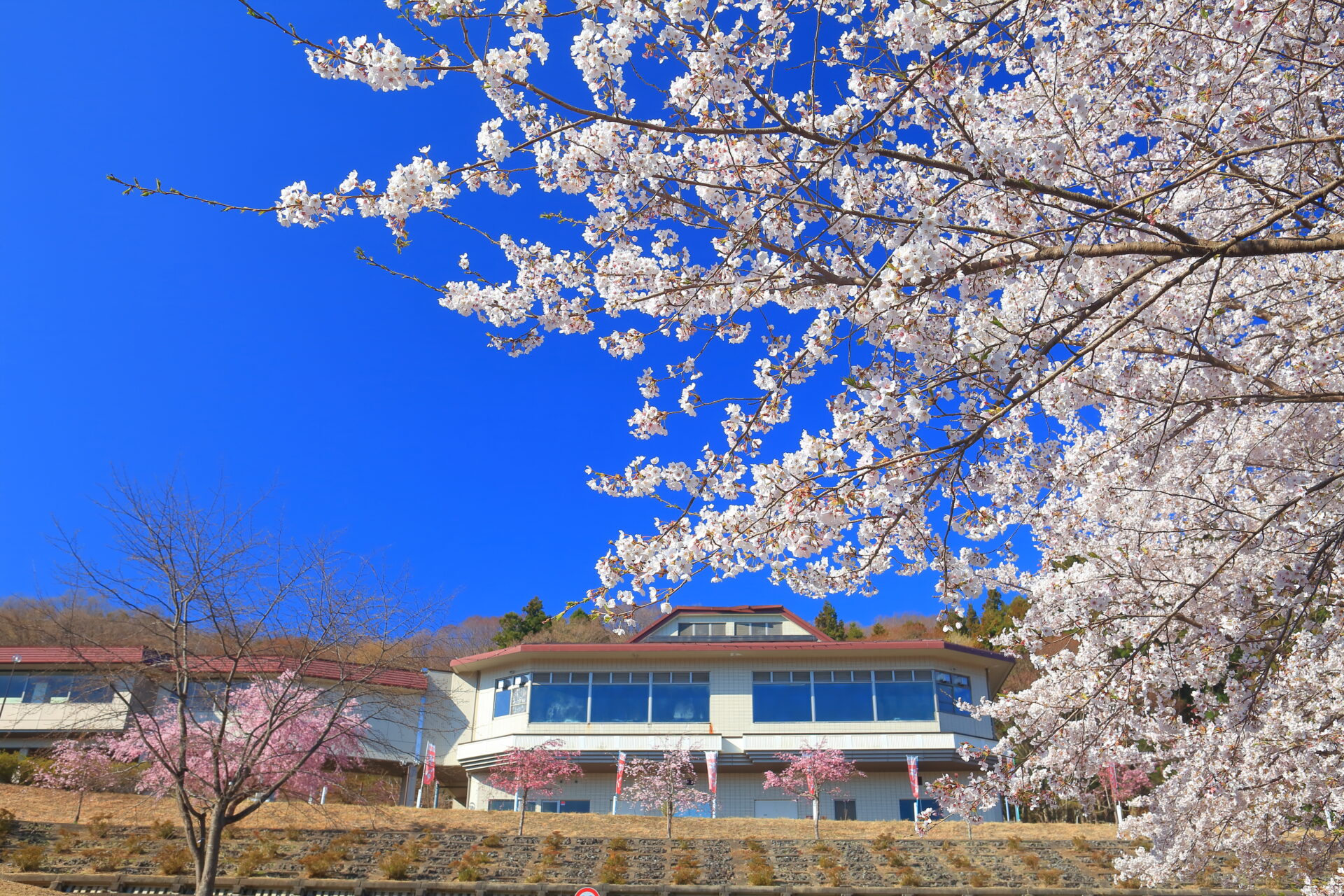 いこいの村ヘリテイジ美の山