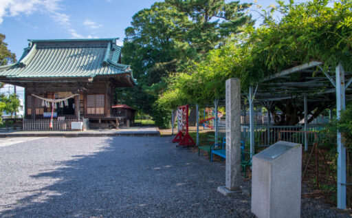 菖蒲神社の藤