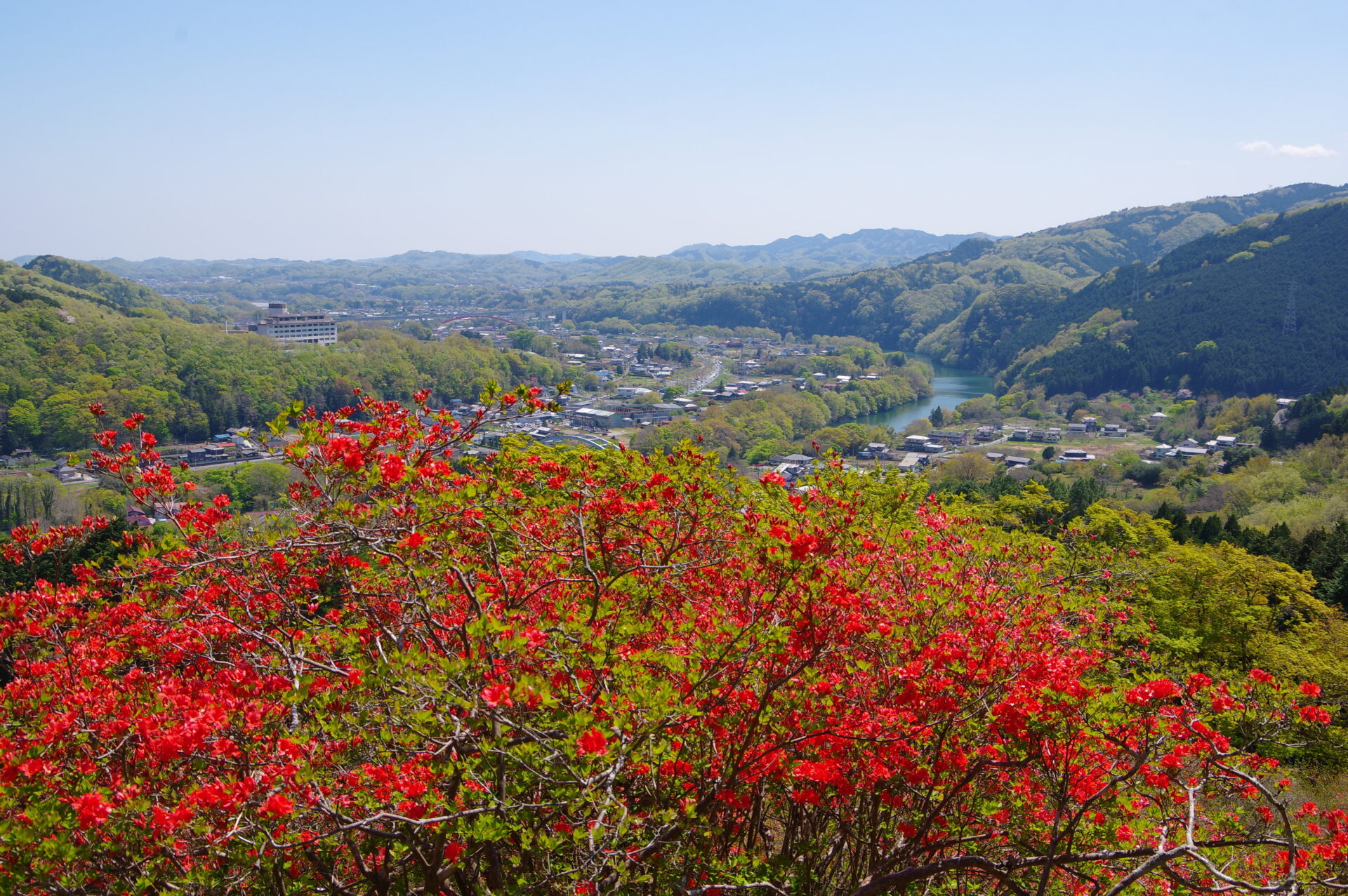 金尾つつじ山公園