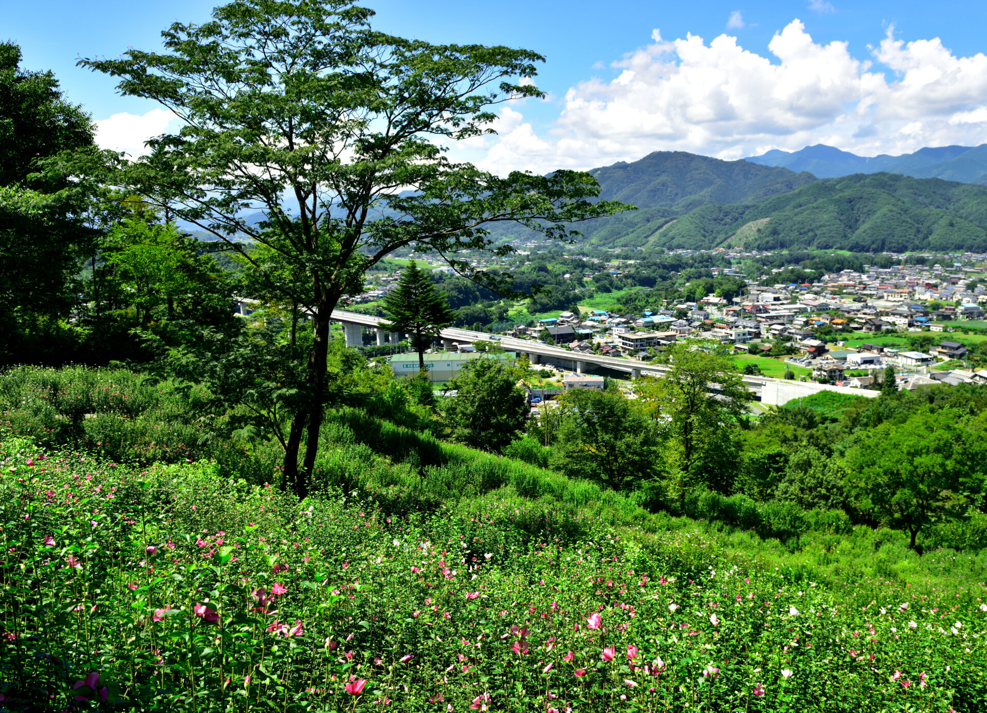 リトリートフィールド Mahora稲穂山