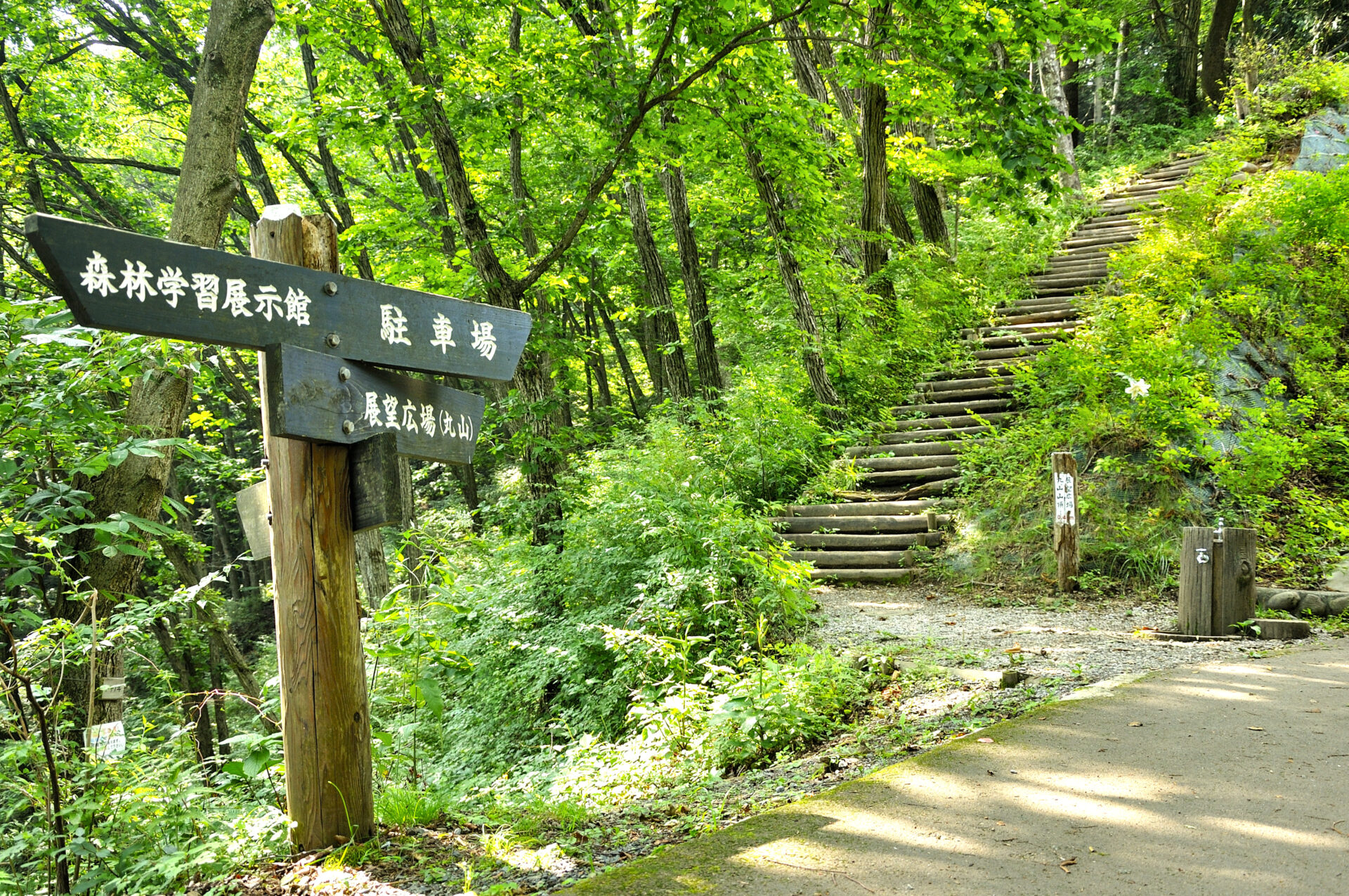 県民の森