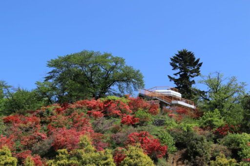 おしゃもじ山公園